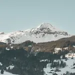Lejlighed Homely - Naehe Terminal Grindelwald