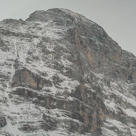 Homely - Nähe Terminal