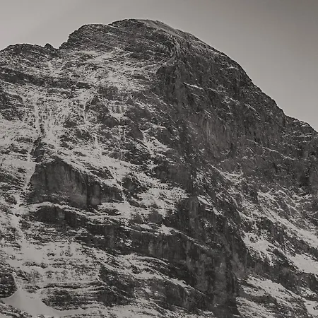 شقة Homely - Naehe Terminal جريندلوالد