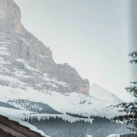 Apartment Homely - Nähe Terminal