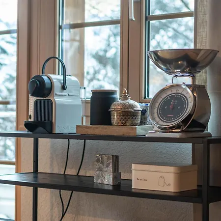 Homely - Nähe Terminal Apartment Grindelwald