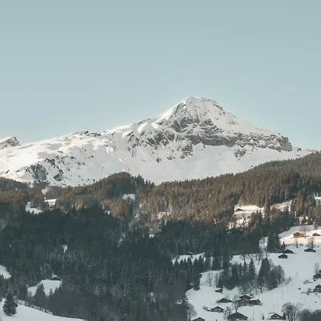 Apartment Homely - Nähe Terminal Grindelwald