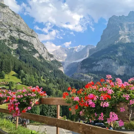 Homely - Naehe Terminal * Grindelwald