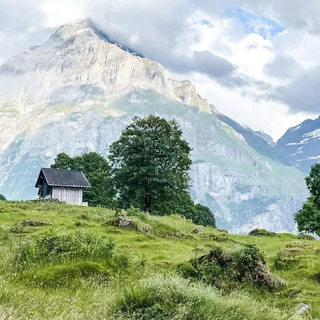 公寓 Homely - Naehe Terminal *