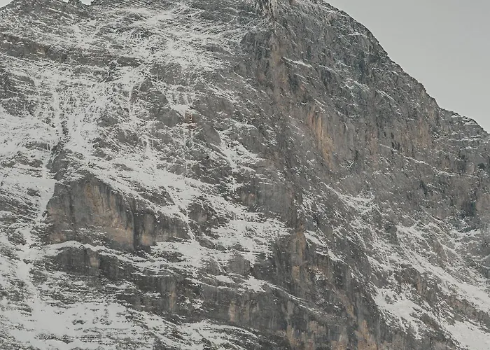 Homely - Nähe Terminal