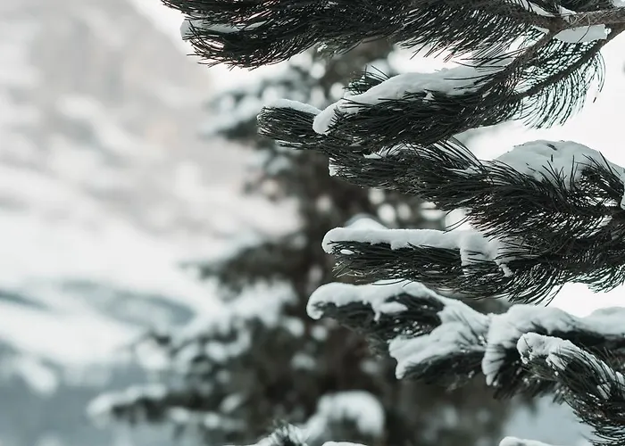 Homely - Nähe Terminal Grindelwald