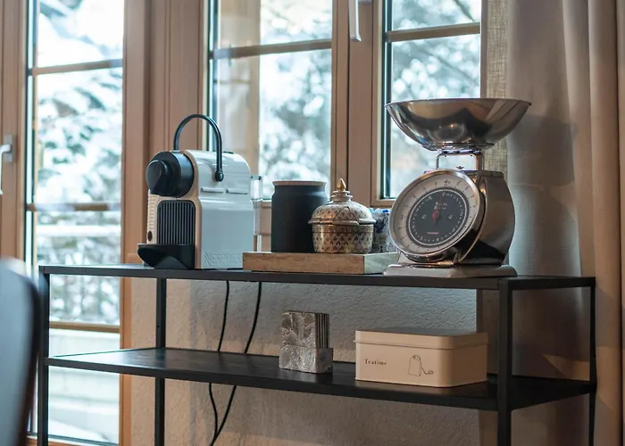 Homely - Nähe Terminal Apartment Grindelwald