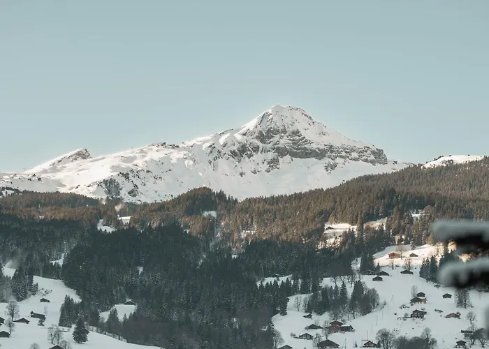 Apartment Homely - Nähe Terminal Grindelwald