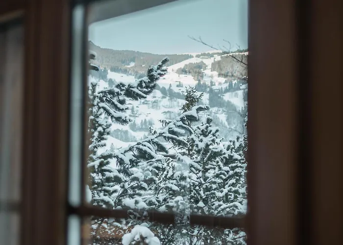 Homely - Nähe Terminal Apartment Grindelwald