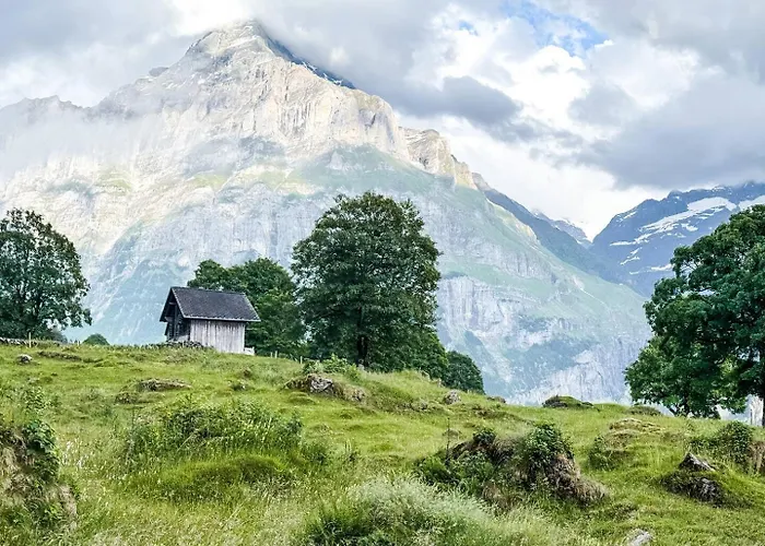 Apartment Homely - Nähe Terminal *