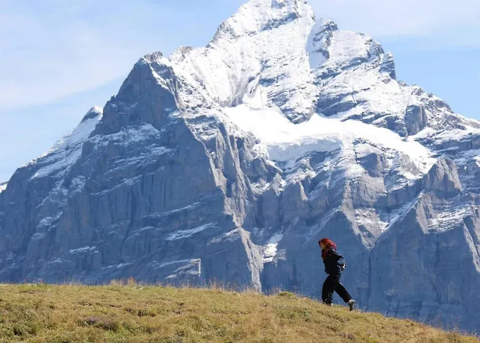 Apartment Homely - Nähe Terminal *