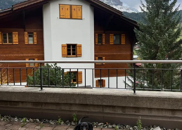 Homely - Nähe Terminal