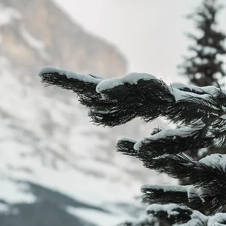 Homely - Naehe Terminal 아파트