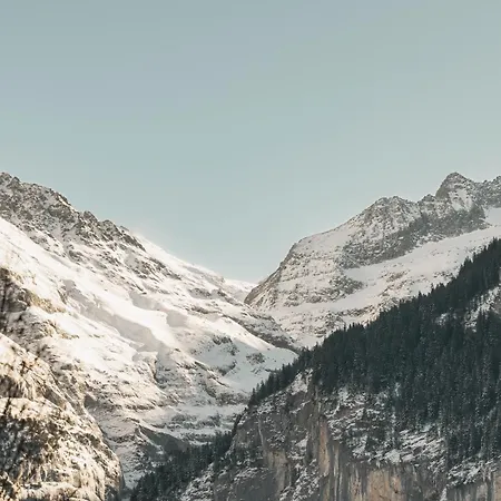 Homely - Naehe Terminal Lejlighed