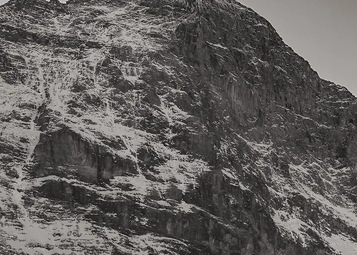 Lejlighed Homely - Naehe Terminal Grindelwald