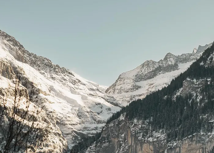 Homely - Naehe Terminal Lejlighed