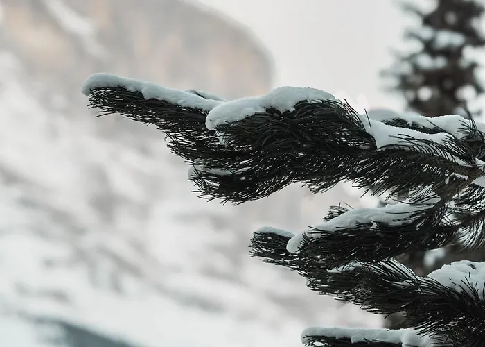 Homely - Naehe Terminal Lejlighed